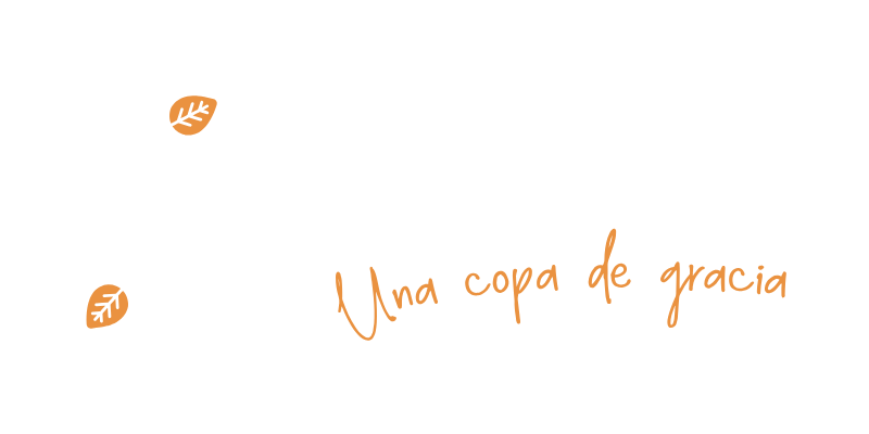 logo La Bamba mejor sour peruano